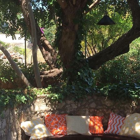 Relax Garden Lejlighed Stari Grad  Eksteriør billede