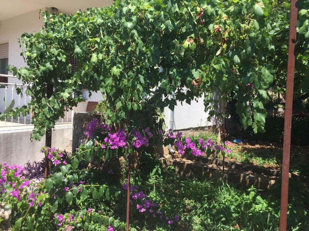 Relax Garden Lejlighed Stari Grad  Eksteriør billede