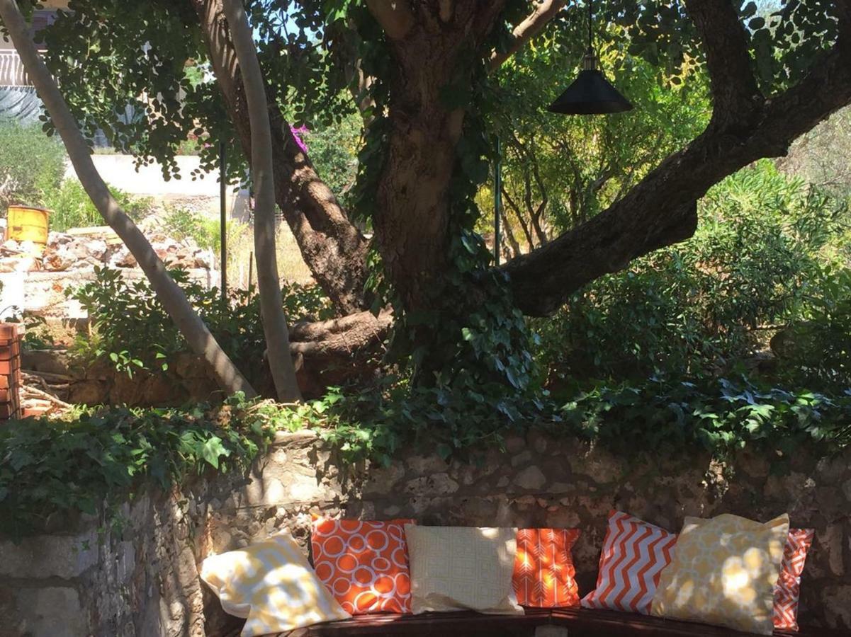 Relax Garden Lejlighed Stari Grad  Eksteriør billede